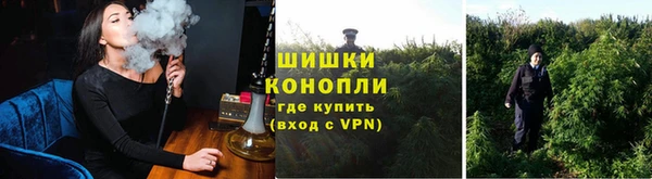 ешки Верхний Тагил